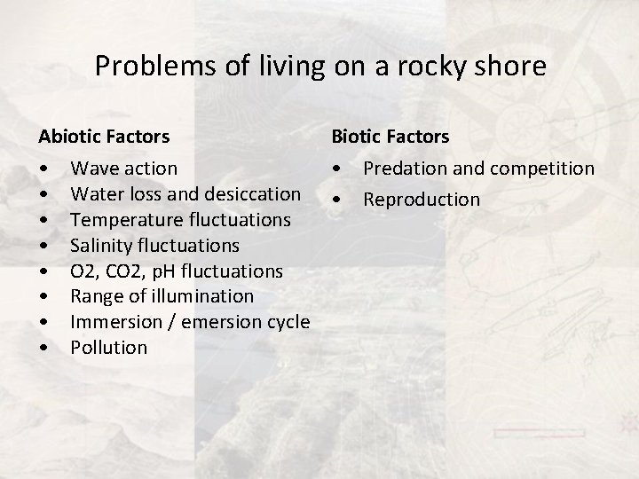 Problems of living on a rocky shore Abiotic Factors • • Biotic Factors Wave