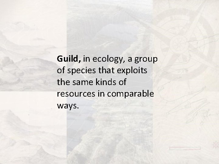 Guild, in ecology, a group of species that exploits the same kinds of resources