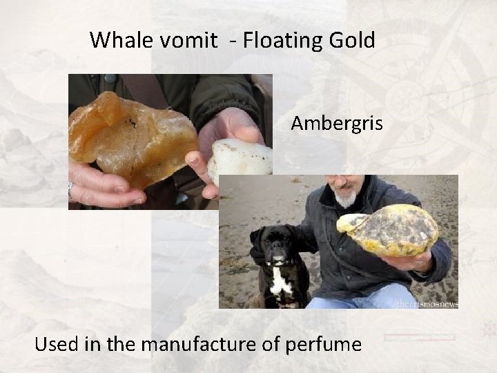 Whale vomit - Floating Gold Ambergris Used in the manufacture of perfume 