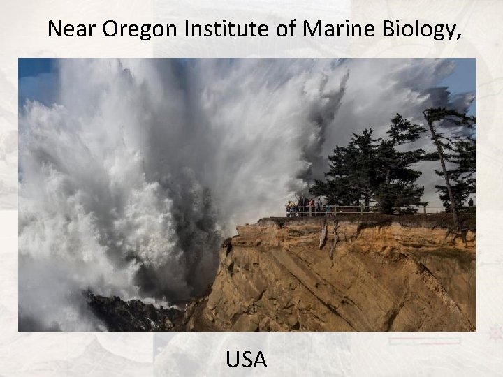 Near Oregon Institute of Marine Biology, USA 