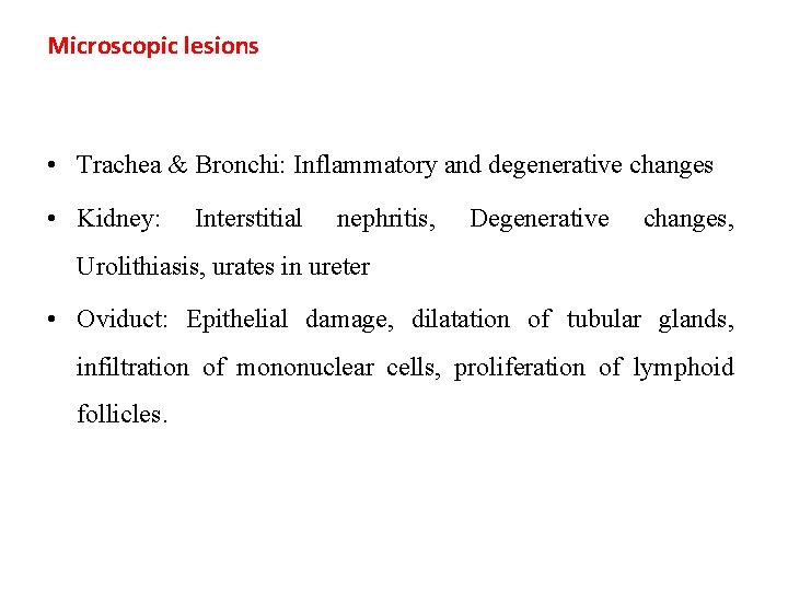 Microscopic lesions • Trachea & Bronchi: Inflammatory and degenerative changes • Kidney: Interstitial nephritis,