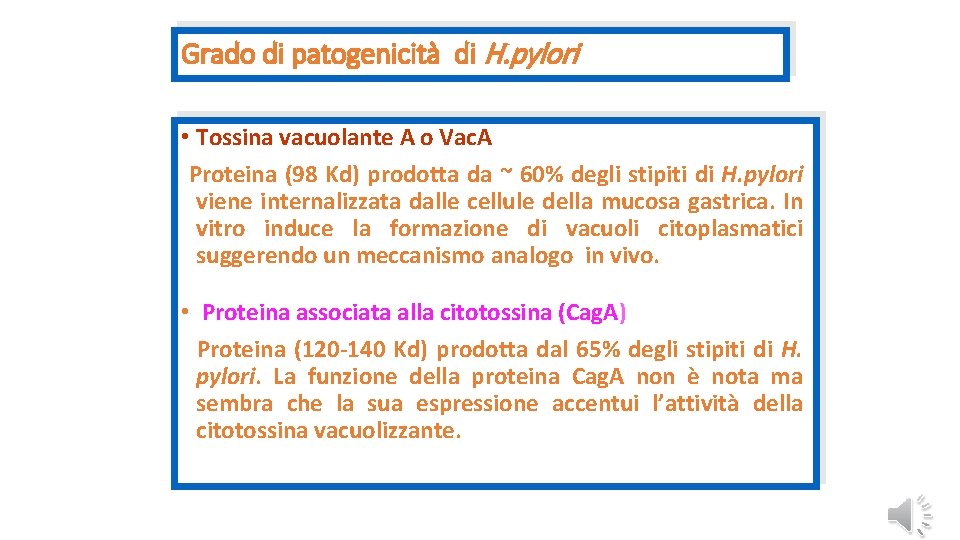 Grado di patogenicità di H. pylori • Tossina vacuolante A o Vac. A Proteina