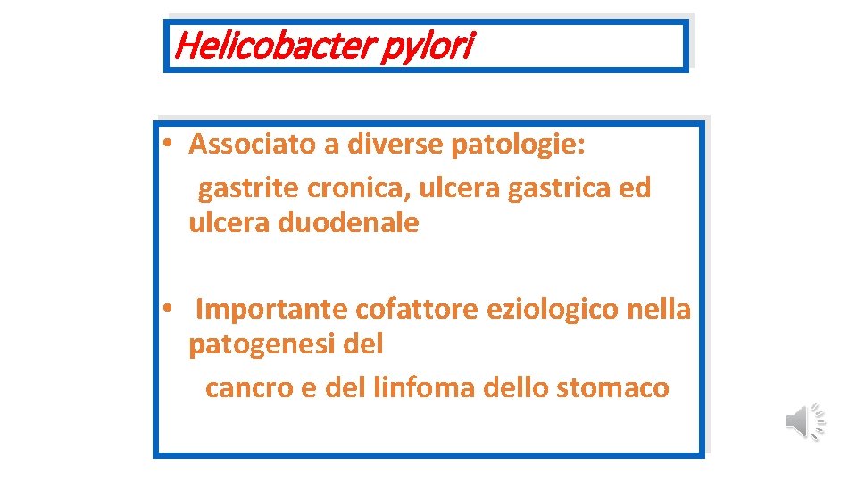 Helicobacter pylori • Associato a diverse patologie: gastrite cronica, ulcera gastrica ed ulcera duodenale