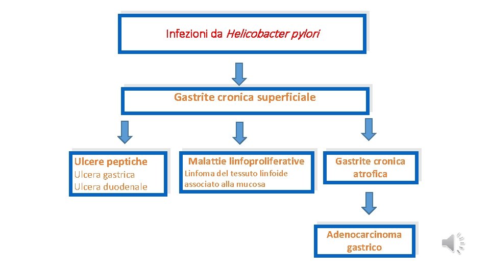 Infezioni da Helicobacter pylori Gastrite cronica superficiale Ulcere peptiche Ulcera gastrica Ulcera duodenale Malattie