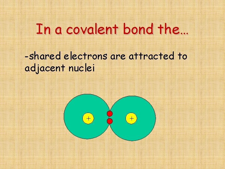 In a covalent bond the… -shared electrons are attracted to adjacent nuclei + +