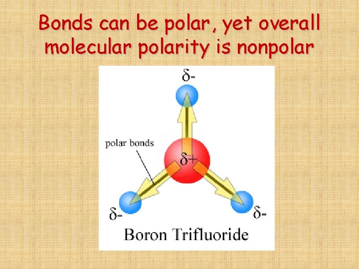 Bonds can be polar, yet overall molecular polarity is nonpolar 