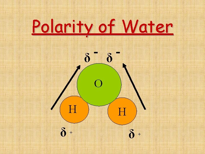 Polarity of Water δ δ O H δ+ H δ+ 