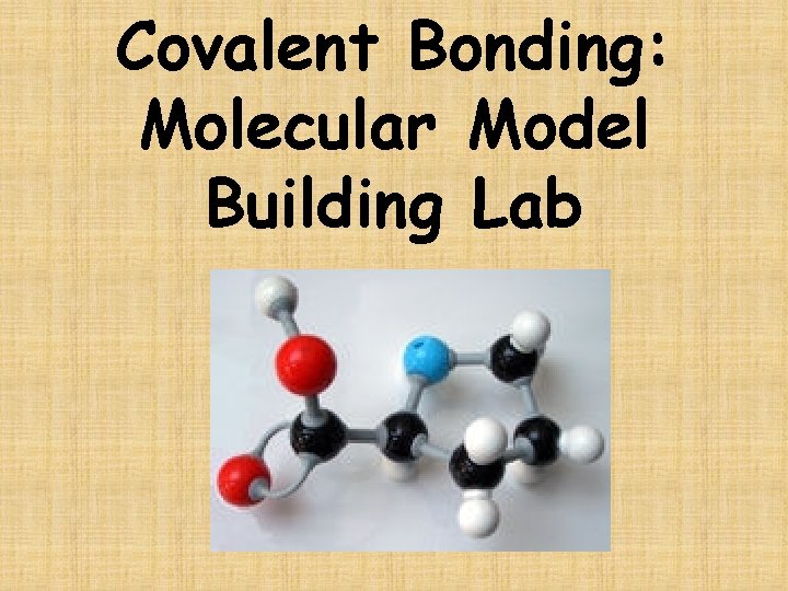 Covalent Bonding: Molecular Model Building Lab 