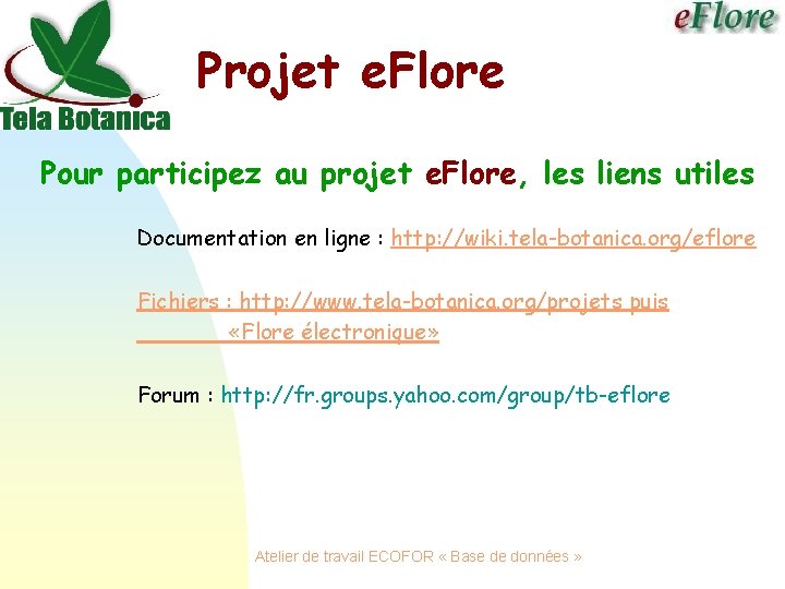 Projet e. Flore Pour participez au projet e. Flore, les liens utiles Documentation en