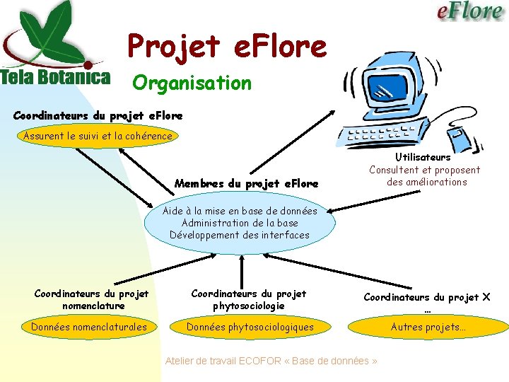 Projet e. Flore Organisation Coordinateurs du projet e. Flore Assurent le suivi et la