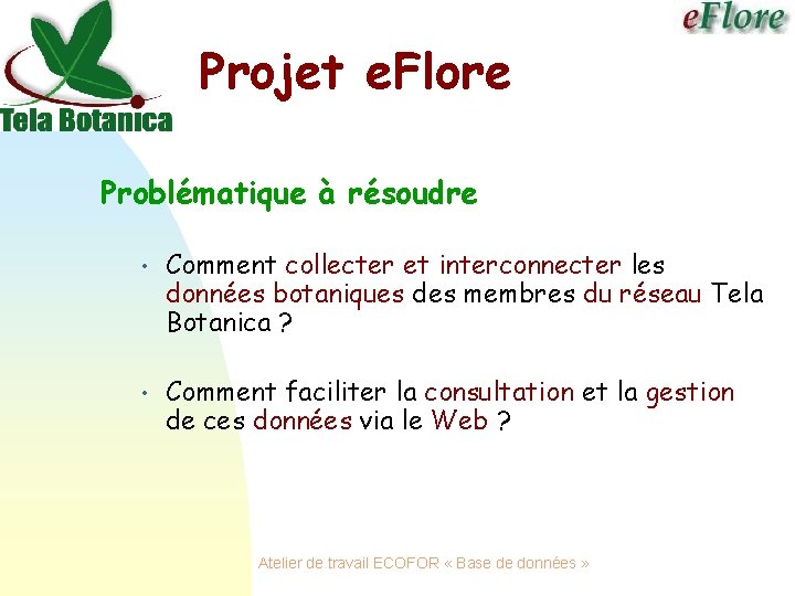 Projet e. Flore Problématique à résoudre • Comment collecter et interconnecter les données botaniques