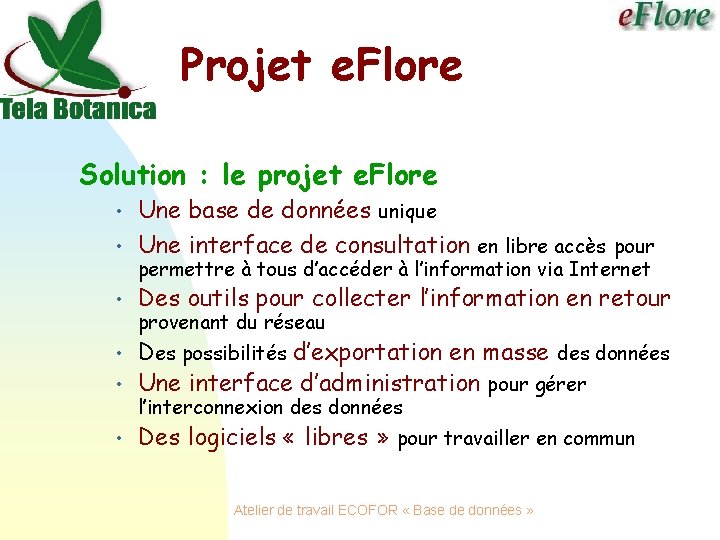 Projet e. Flore Solution : le projet e. Flore • Une base de données