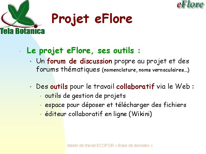 Projet e. Flore • Le projet e. Flore, ses outils : • Un forum