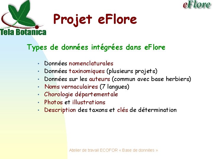 Projet e. Flore Types de données intégrées dans e. Flore • • Données nomenclaturales