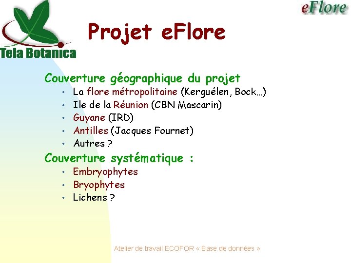 Projet e. Flore Couverture géographique du projet • • • La flore métropolitaine (Kerguélen,