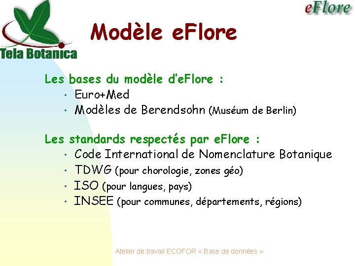 Modèle e. Flore Les bases du modèle d’e. Flore : • Euro+Med • Modèles