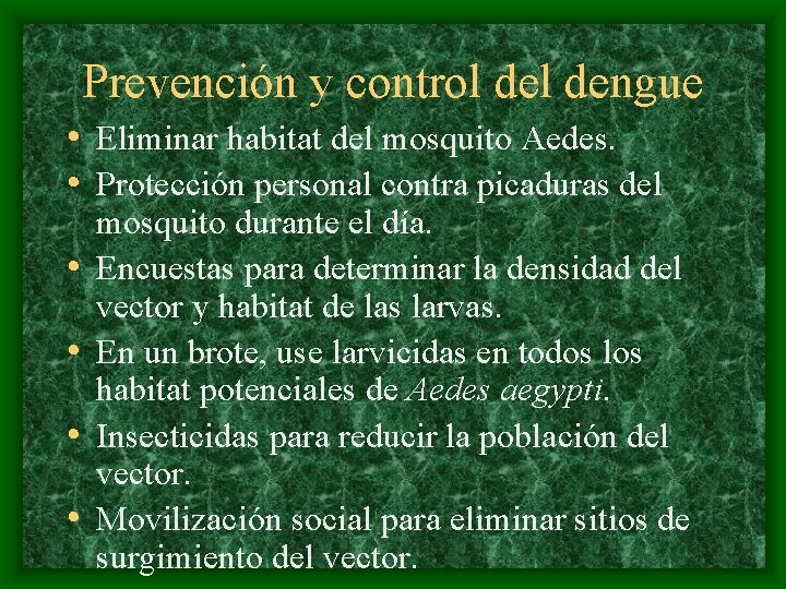 Prevención y control dengue • Eliminar habitat del mosquito Aedes. • Protección personal contra