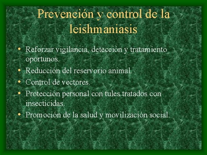 Prevención y control de la leishmaniasis • Reforzar vigilancia, detección y tratamiento • •