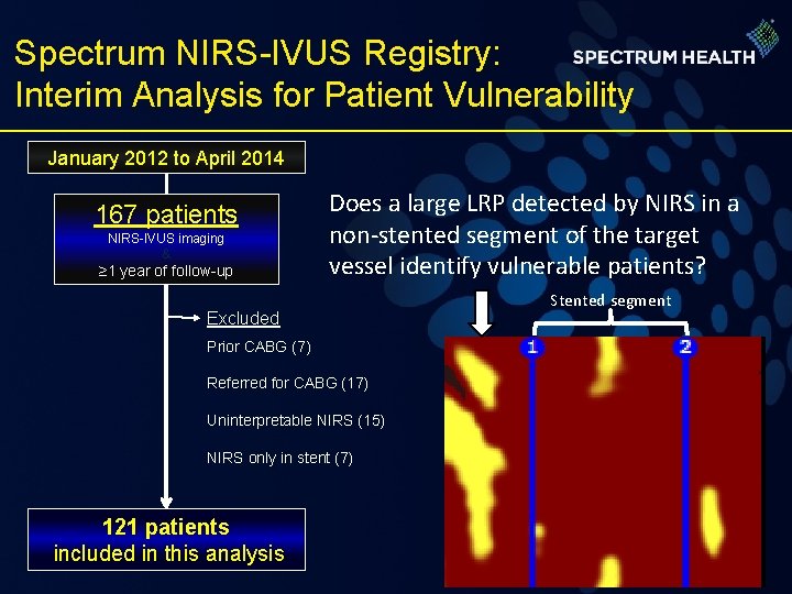 Spectrum NIRS-IVUS Registry: Interim Analysis for Patient Vulnerability January 2012 to April 2014 167