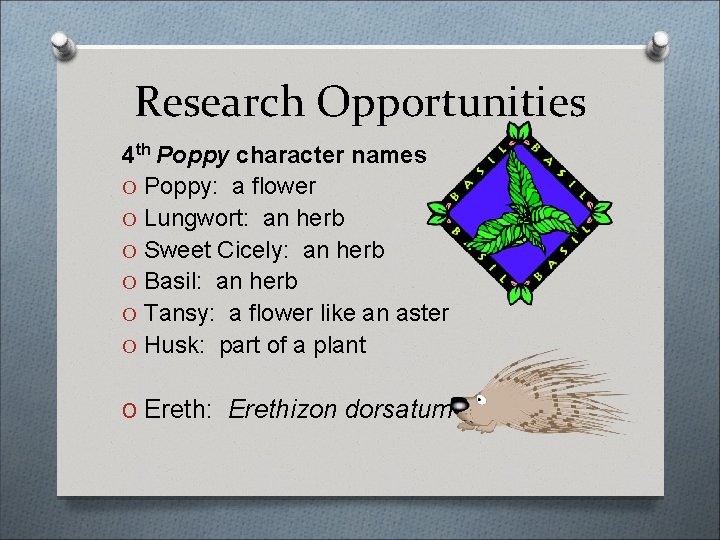 Research Opportunities 4 th Poppy character names O Poppy: a flower O Lungwort: an