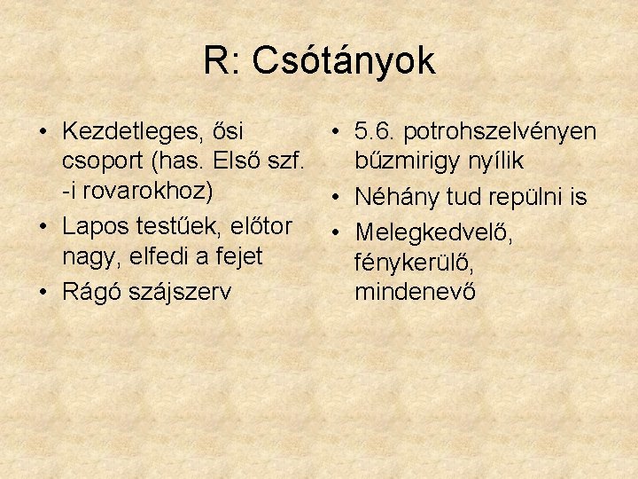 R: Csótányok • Kezdetleges, ősi • 5. 6. potrohszelvényen csoport (has. Első szf. bűzmirigy