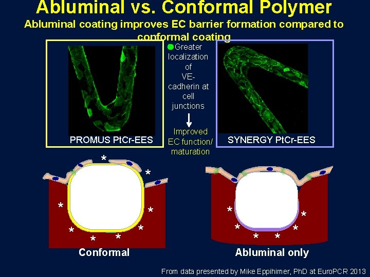 Abluminal vs. Conformal Polymer Abluminal coating improves EC barrier formation compared to conformal coating