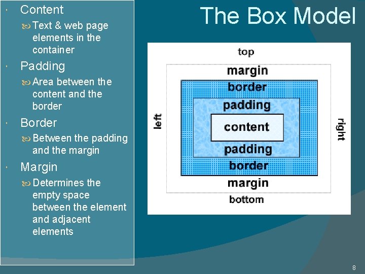  Content Text & web page The Box Model elements in the container Padding