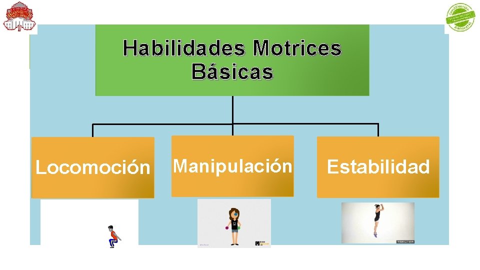 Habilidades Motrices Básicas Locomoción Manipulación Estabilidad 