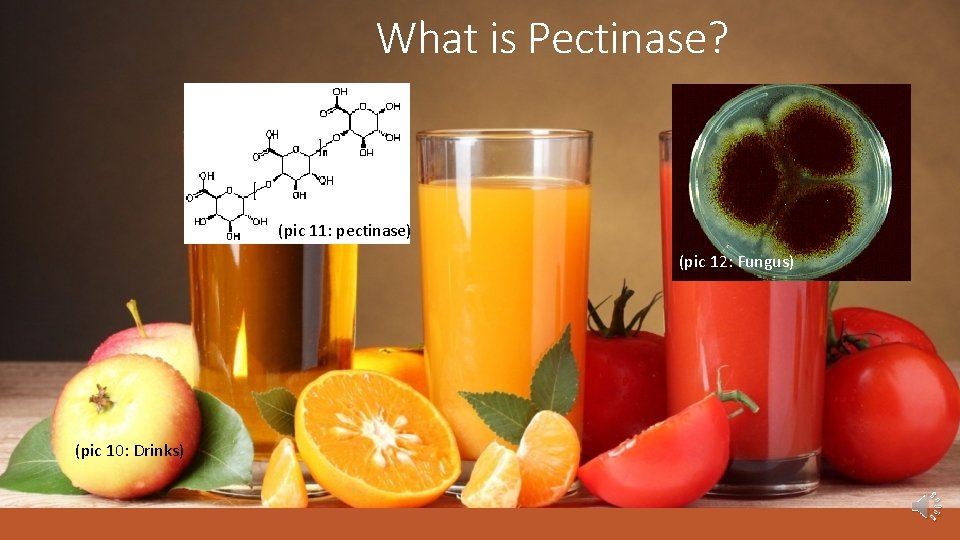What is Pectinase? (pic 11: pectinase) (pic 12: Fungus) (pic 10: Drinks) 
