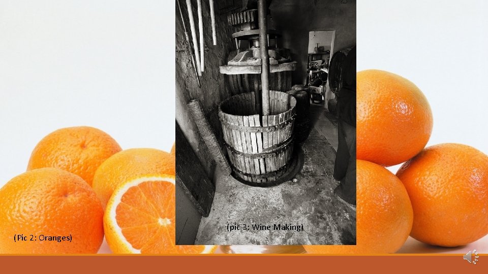 Background (Pic 2: Oranges) (pic 3: Wine Making) 