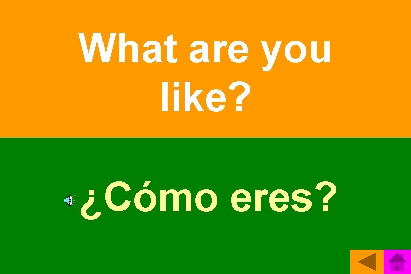 What are you like? ¿Cómo eres? 