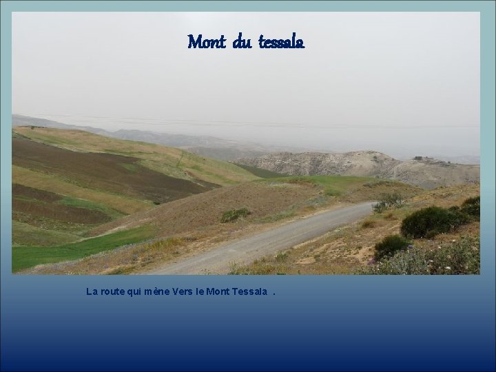 Mont du tessala La route qui mène Vers le Mont Tessala. 