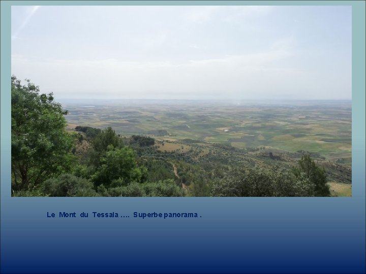 Le Mont du Tessala …. Superbe panorama. 