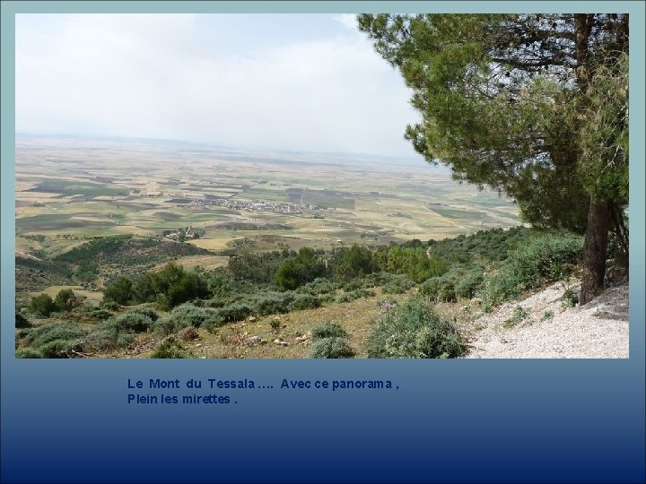 Le Mont du Tessala …. Avec ce panorama , Plein les mirettes. 