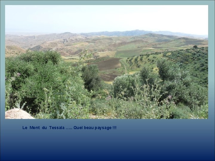 Le Mont du Tessala …. . Quel beau paysage !!! 