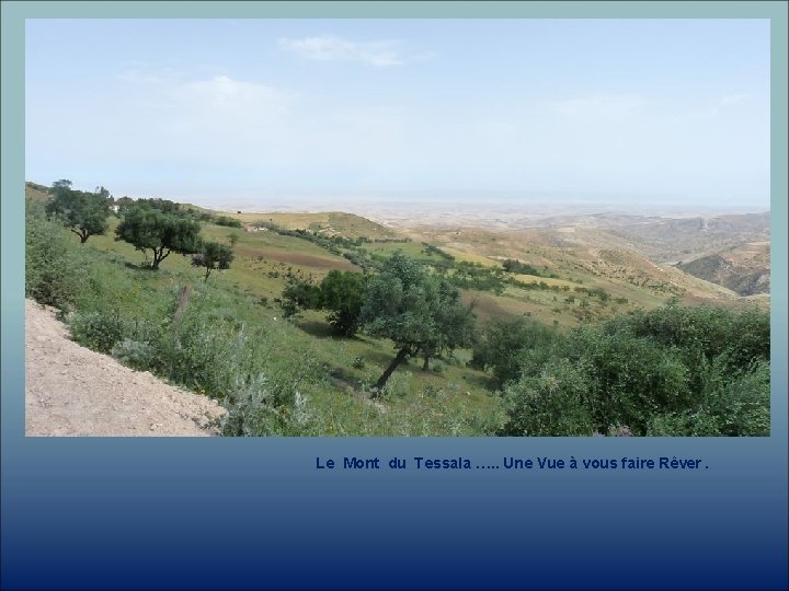 Le Mont du Tessala …. . Une Vue à vous faire Rêver. 