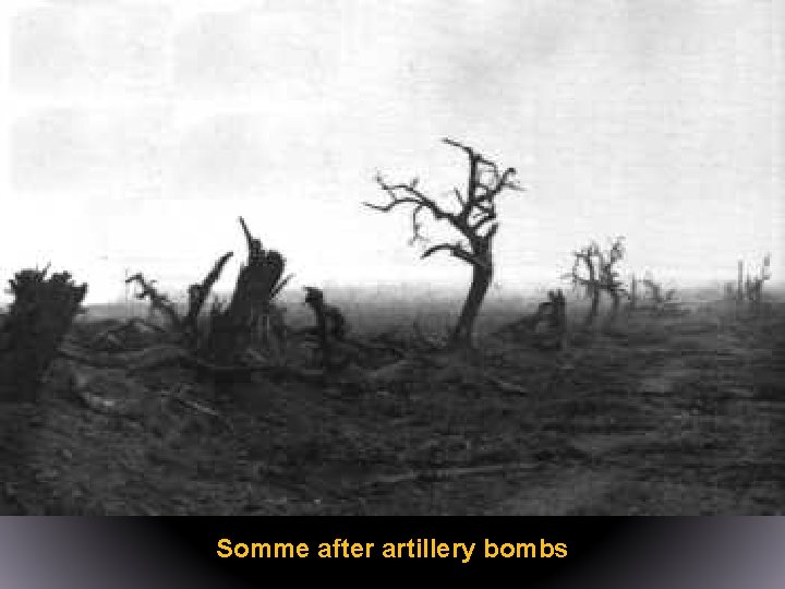 Somme after artillery bombs 