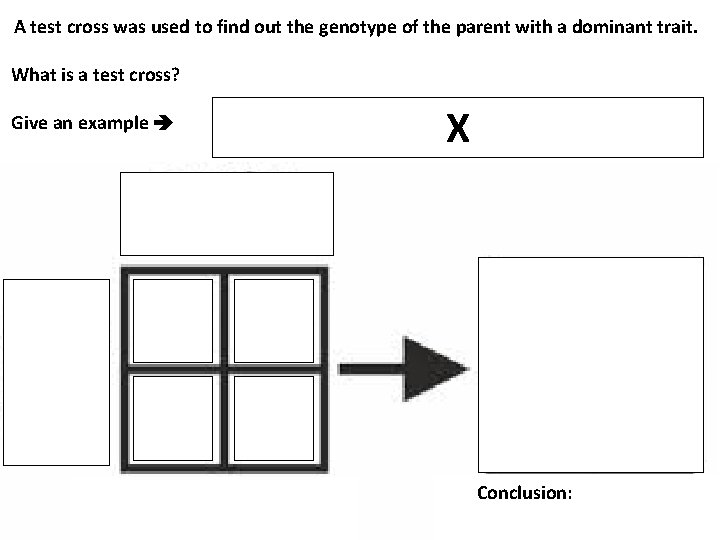 A test cross was used to find out the genotype of the parent with