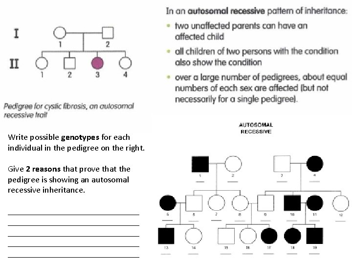 Write possible genotypes for each individual in the pedigree on the right. Give 2