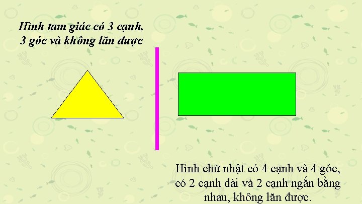 Hình tam giác có 3 cạnh, 3 góc và không lăn được Hình chữ