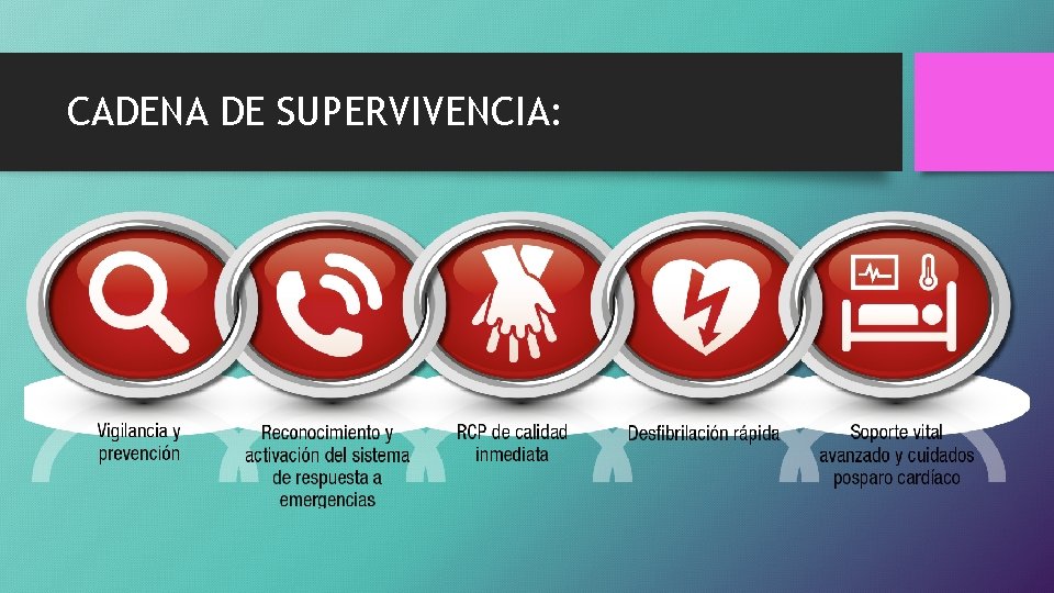 CADENA DE SUPERVIVENCIA: 