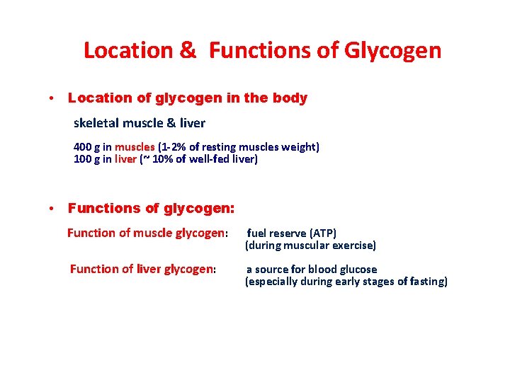 Location & Functions of Glycogen • Location of glycogen in the body skeletal muscle
