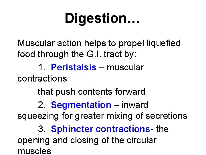 Digestion… Muscular action helps to propel liquefied food through the G. I. tract by: