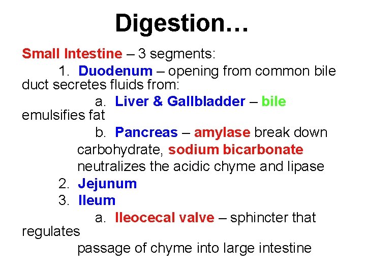 Digestion… Small Intestine – 3 segments: 1. Duodenum – opening from common bile duct