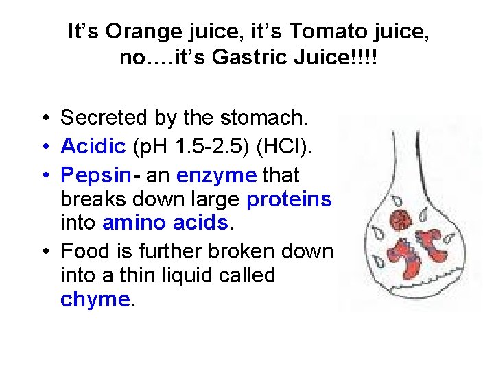 It’s Orange juice, it’s Tomato juice, no…. it’s Gastric Juice!!!! • Secreted by the