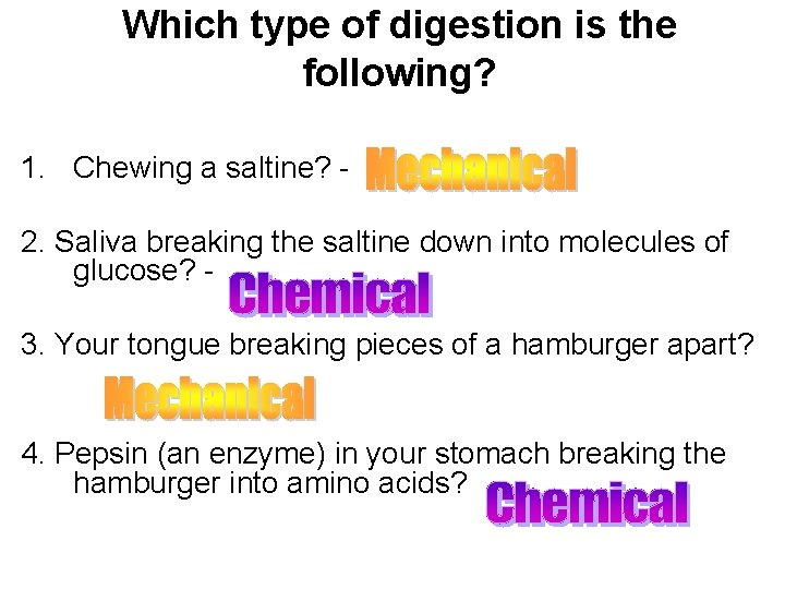 Which type of digestion is the following? 1. Chewing a saltine? 2. Saliva breaking
