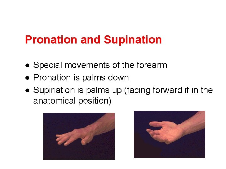 Pronation and Supination l l l Special movements of the forearm Pronation is palms