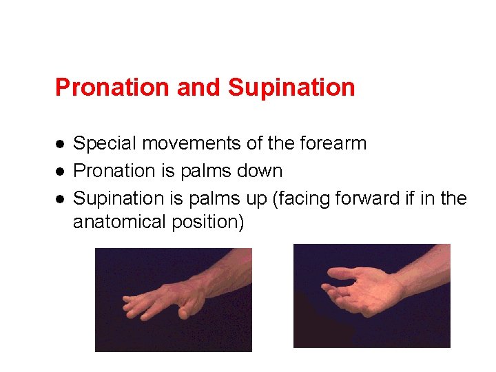 Pronation and Supination l l l Special movements of the forearm Pronation is palms Pronation and Supination l l l Special movements of the forearm Pronation is palms