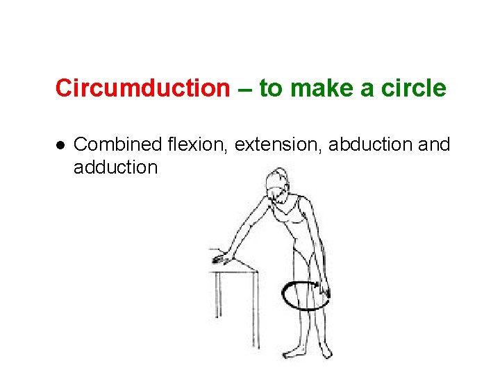 Circumduction – to make a circle l Combined flexion, extension, abduction and adduction Circumduction – to make a circle l Combined flexion, extension, abduction and adduction