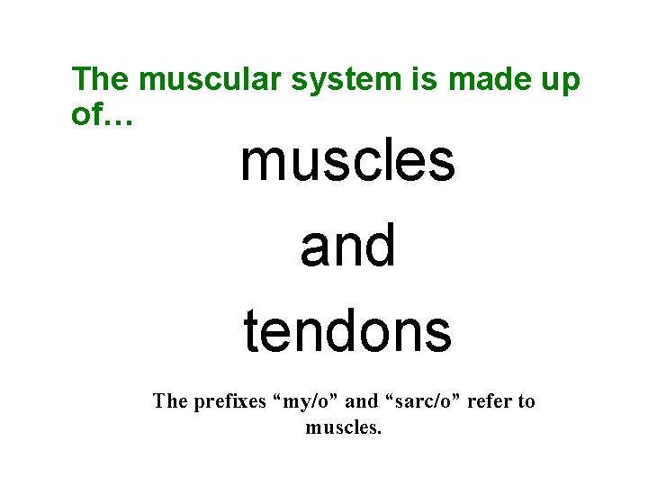 The muscular system is made up of… muscles and tendons The prefixes “my/o” and The muscular system is made up of… muscles and tendons The prefixes “my/o” and
